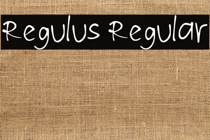 Regulus Regular Font examples