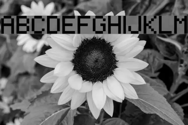 Regupix Font examples