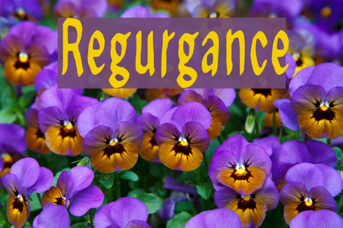 Regurgance Font examples