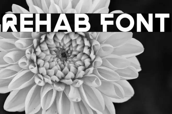 Rehab Font examples