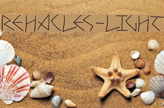 Rehacles-Light Example 2