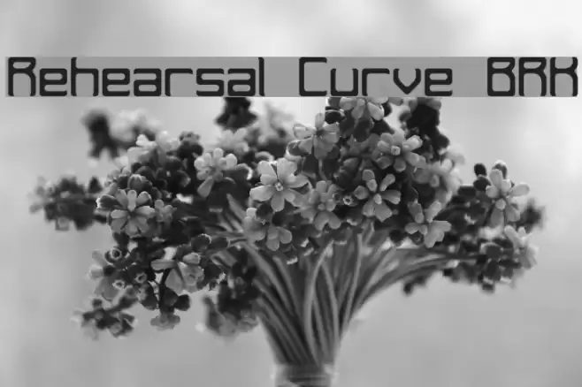 Rehearsal Curve BRK Font examples