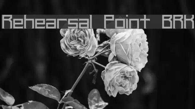 Rehearsal Point BRK Font examples