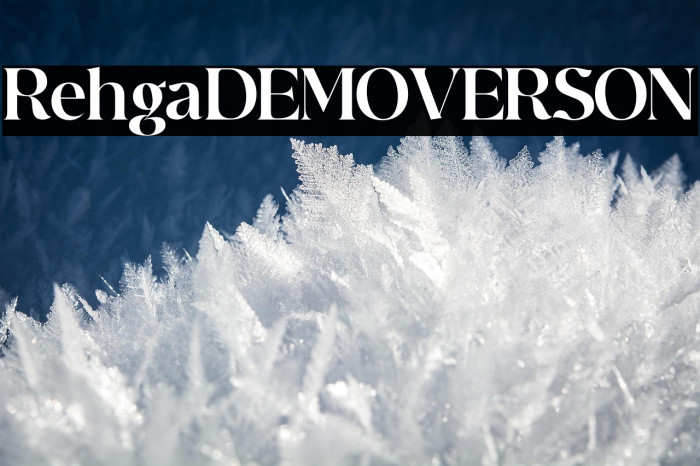 Rehgal DEMO VERSION Example 1