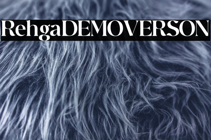 Rehgal DEMO VERSION Example 3