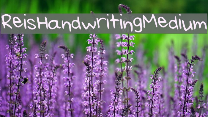 Rei_s_Handwriting_Medium Example 1