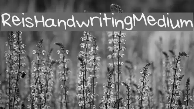Rei_s_Handwriting_Medium Font examples