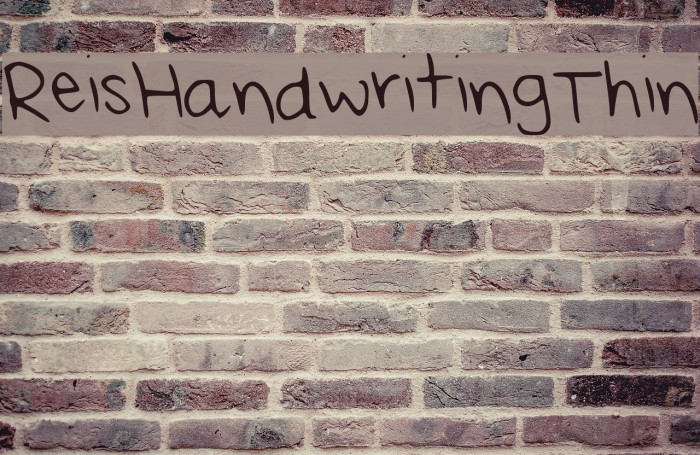 Rei_s_Handwriting_Thin Font examples