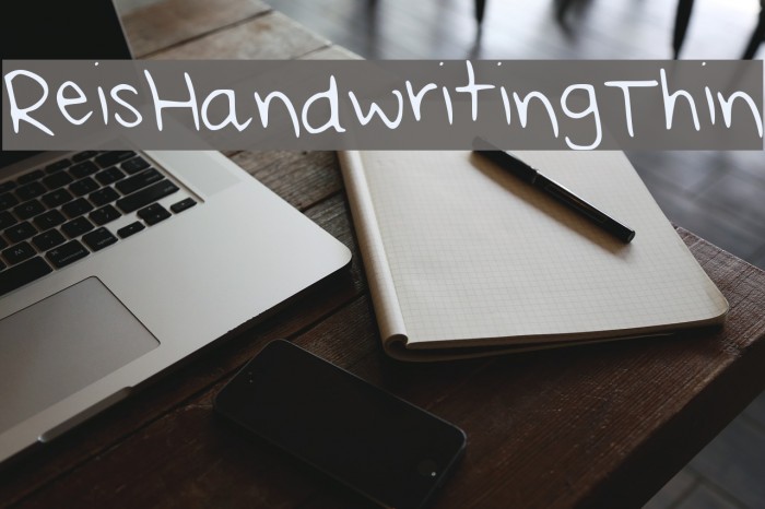Rei_s_Handwriting_Thin Font examples