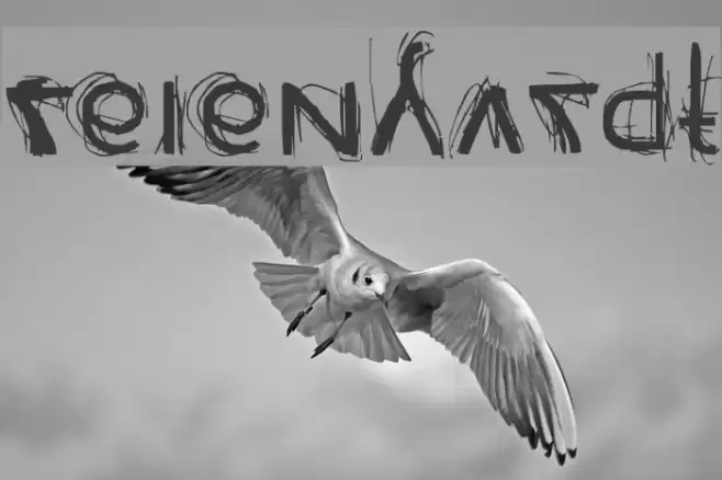 Reienhardt Font examples