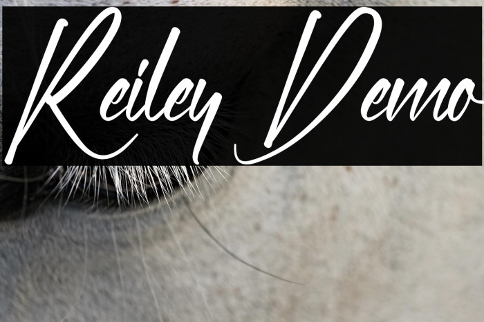 Reiley Demo Fuentes examples
