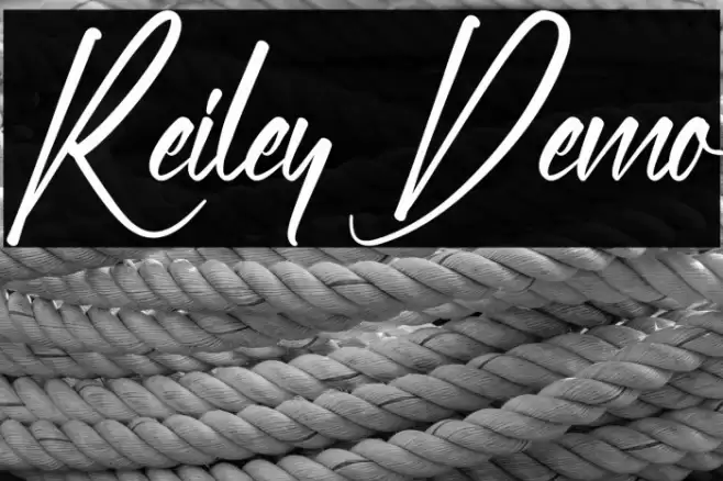 Reiley Demo خط examples