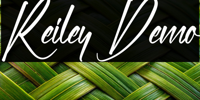 Reiley Demo Fuentes examples