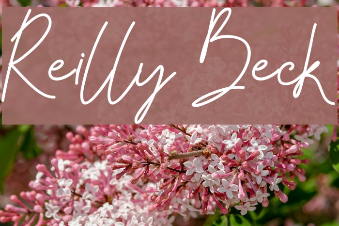 Reilly Beck Polices examples