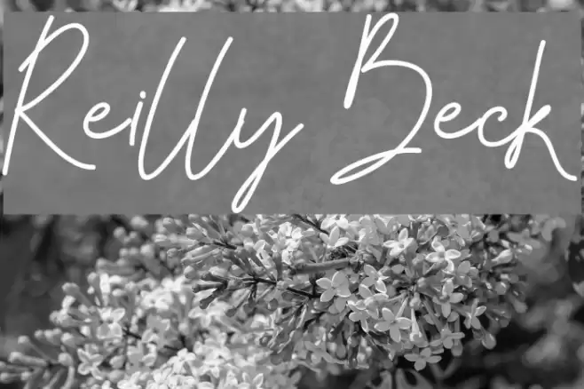 Reilly Beck Font examples