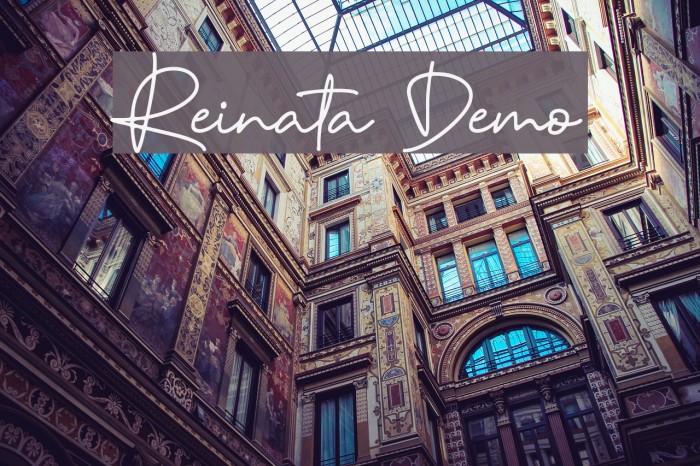 Reinata Demo Font examples