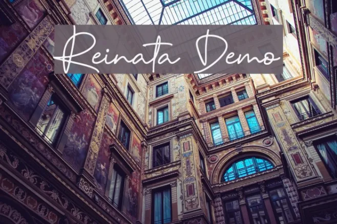 Reinata Demo Example 2