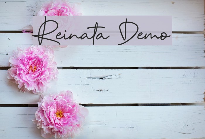 Reinata Demo Font examples