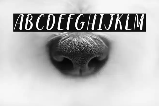 Reindeer Christmas - Personal Use Font examples