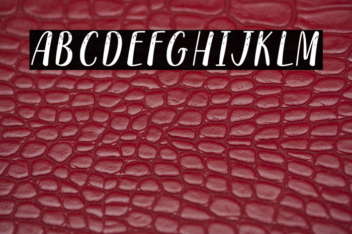 Reindeer Christmas - Personal Use Example 2