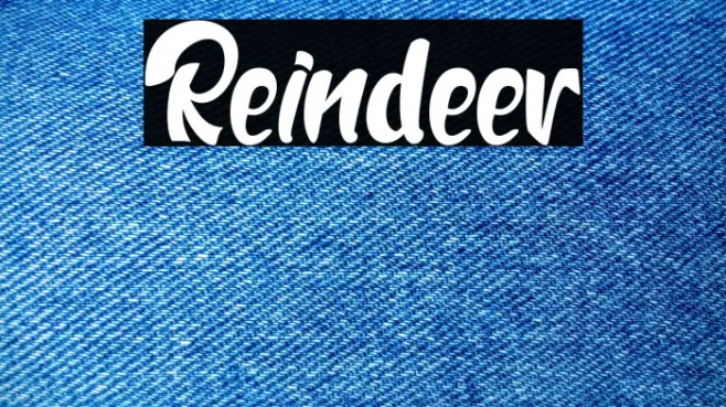 Reindeer Example 1