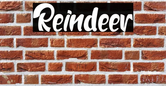 Reindeer Example 2