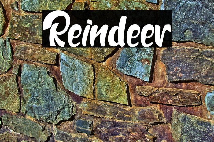 Reindeer Example 3