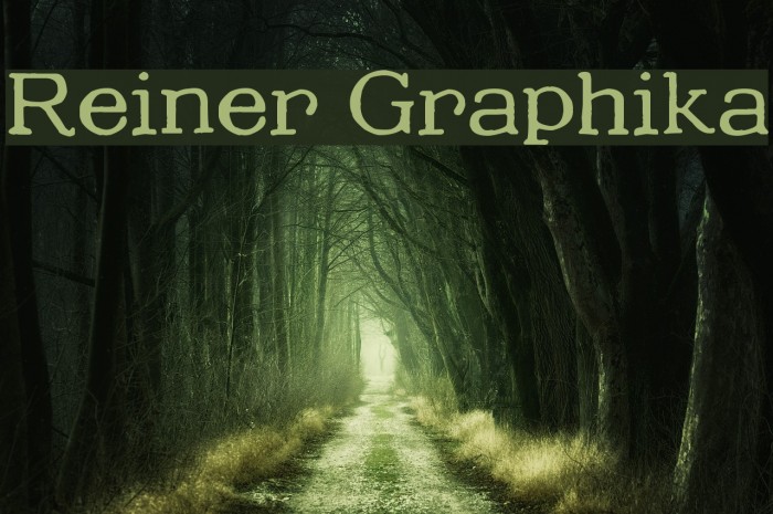 Reiner Graphika Font examples