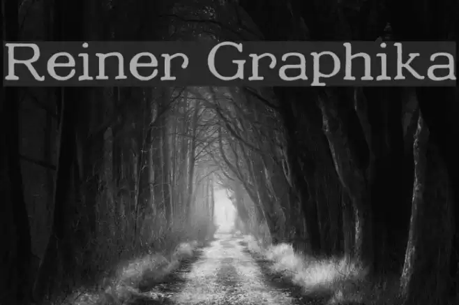 Reiner Graphika  examples
