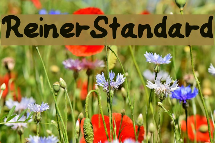 ReinerStandard Font examples
