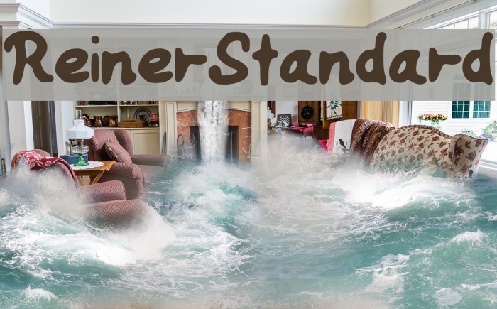 ReinerStandard Font examples