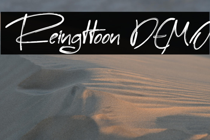 Reingttoon DEMO Example 1