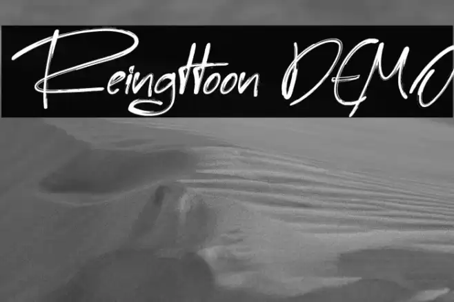 Reingttoon DEMO Font examples