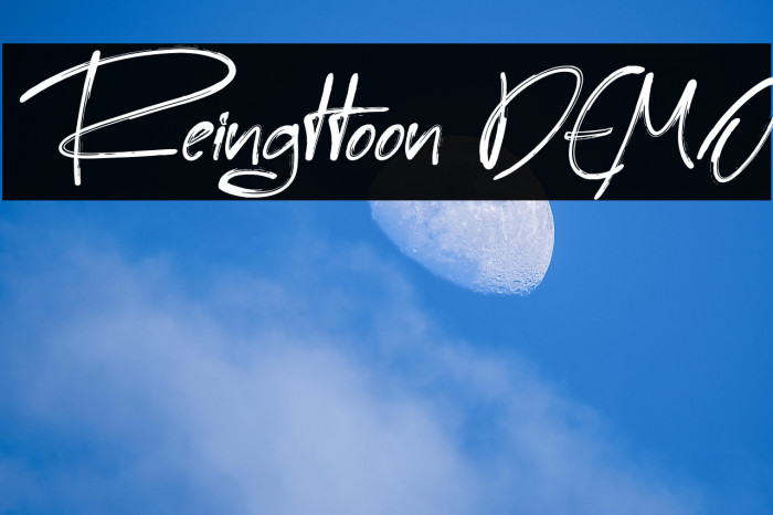 Reingttoon DEMO Example 2