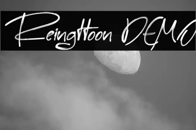 Reingttoon DEMO Font examples