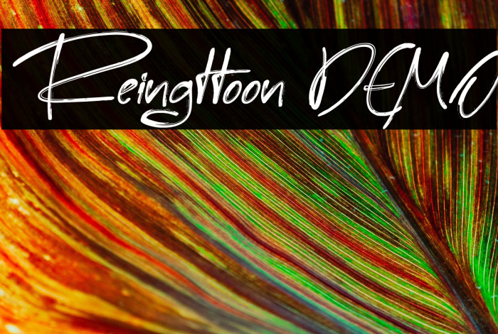 Reingttoon DEMO Example 3