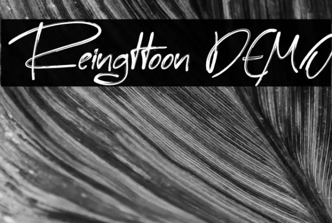 Reingttoon DEMO Font examples