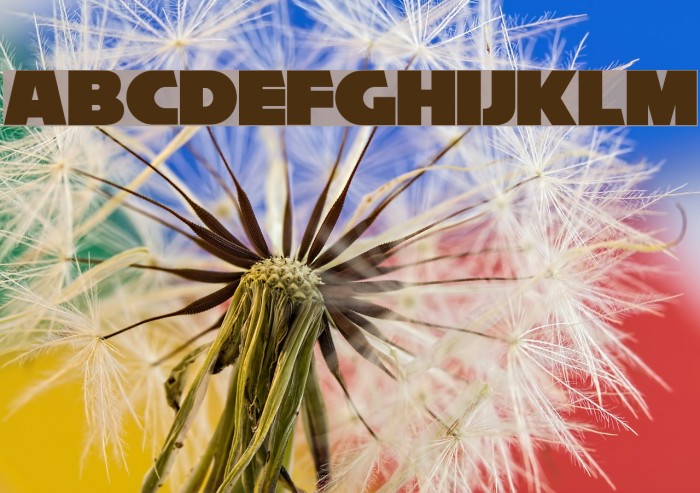 Reisenberg 2.0 Example 3