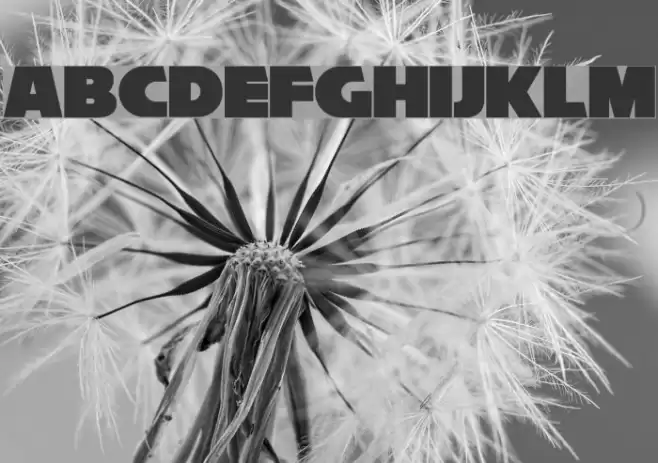 Reisenberg 2.0 Font examples