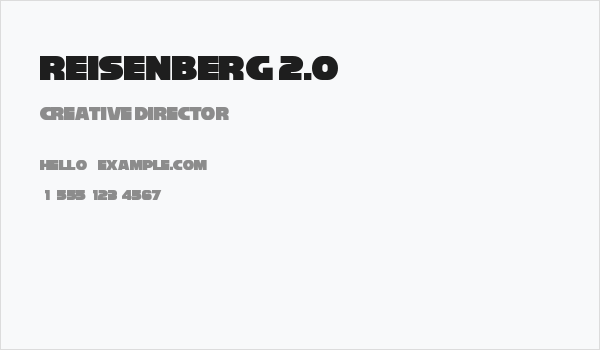 Reisenberg 2.0 Business Card