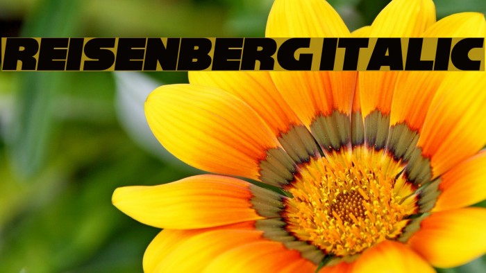 Reisenberg Italic Font examples