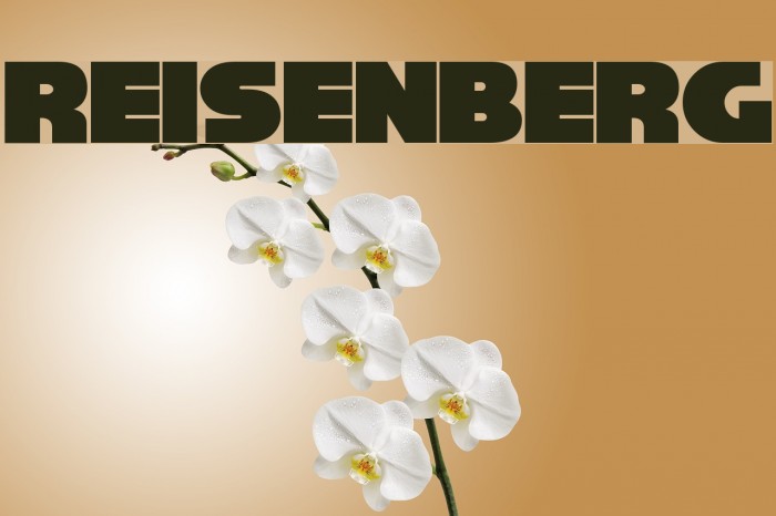 Reisenberg Font examples
