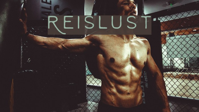Reislust Font examples