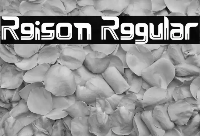 Reison Regular Font examples