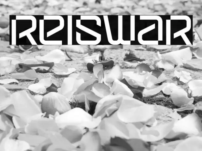 Reiswar Font examples