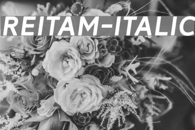 Reitam-Italic  examples