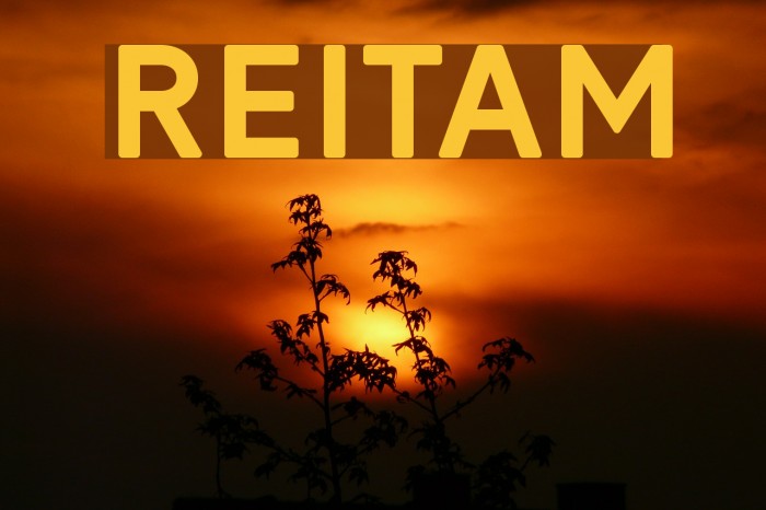 Reitam Font examples