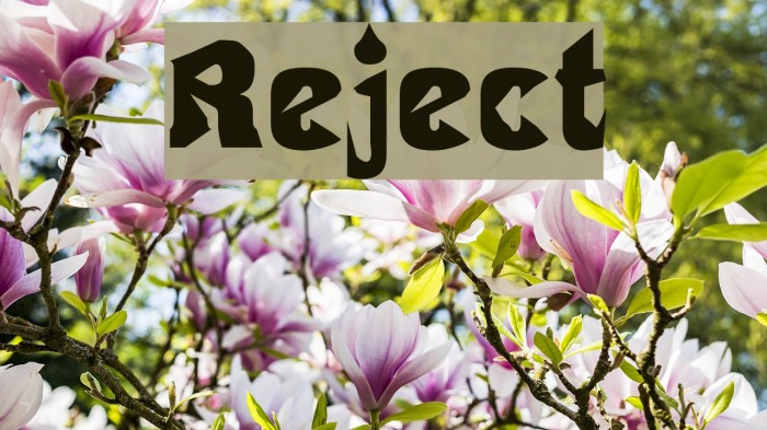 Reject Font examples