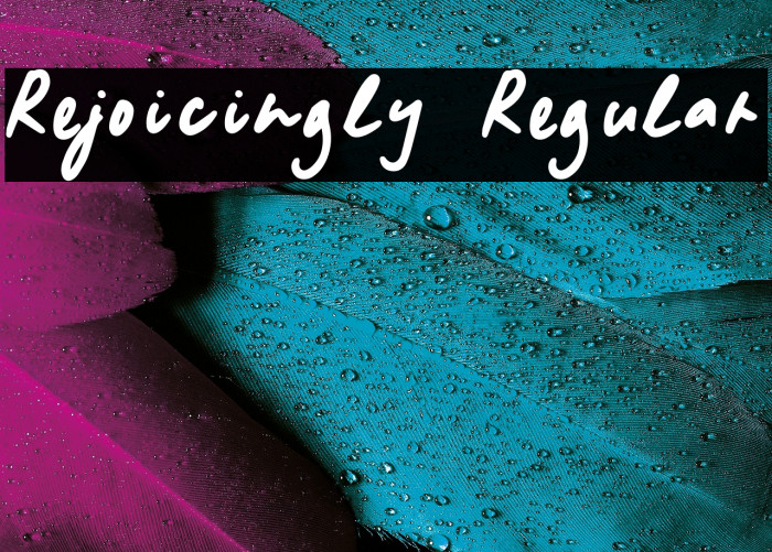 Rejoicingly Regular Example 1