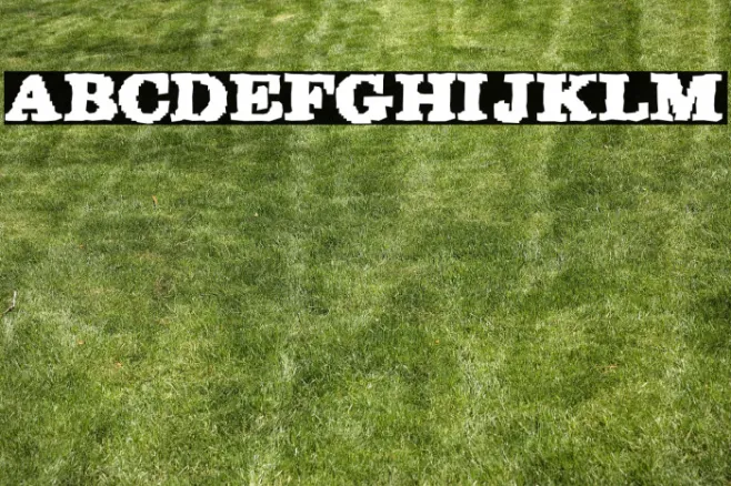 Rekaptcha Example 1